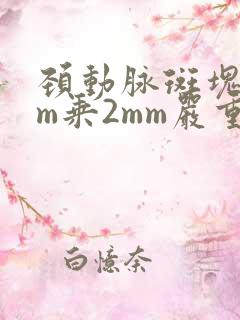 颈动脉斑块4mm乘2mm严重吗