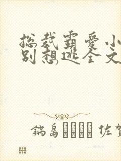 总裁霸爱小娇妻别想逃全文免费阅读