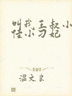 叫我王叔小说最佳小刁妃