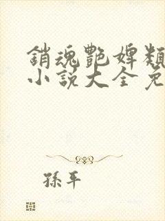 销魂艳婢类似的小说大全免费阅读