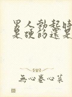 男人勃起时龟头是硬的还是软的