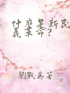 什么是新民主主义革命?