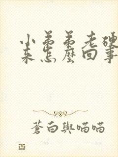 小弟弟老硬不起来怎么回事