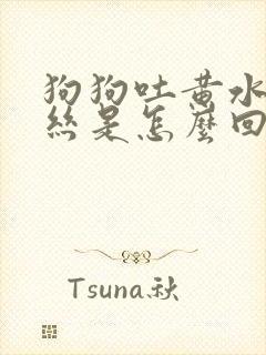 狗狗吐黄水带血丝是怎么回事