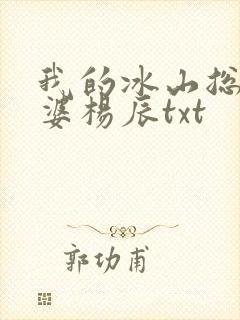 我的冰山总裁老婆杨辰txt