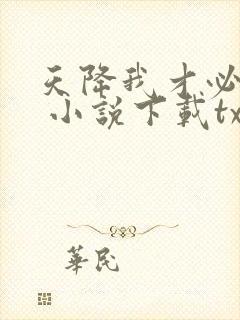 天降我才必有用 小说下载txt