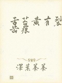 舌苔黄有裂纹有齿痕