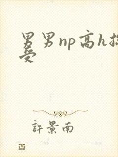 男男np高h总受
