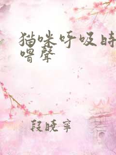 猫咪呼吸时有呼噜声