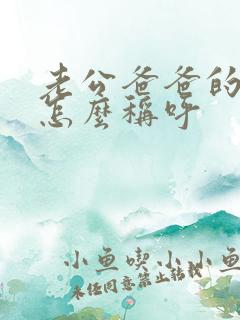 老公爸爸的姐姐怎么称呼