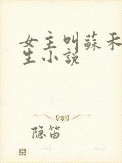 女主叫苏禾的重生小说