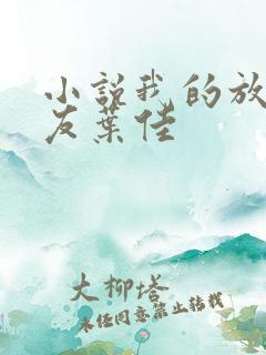 小说我的放荡女友叶佳