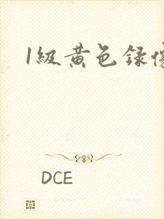 1级黄色录像.