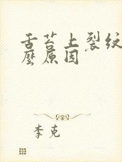 舌苔上裂纹是怎么原因