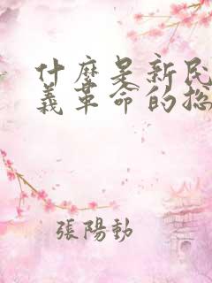 什么是新民主主义革命的总路线 主权问题