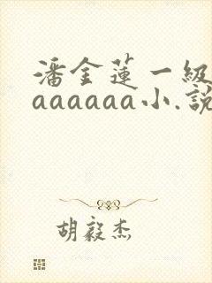 潘金莲一级淫片aaaaaa小.说