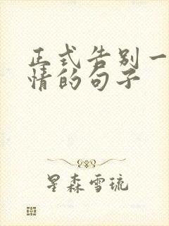 正式告别一段感情的句子