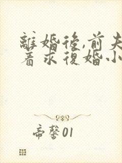 离婚后,前夫哭着求复婚小说全集完整版