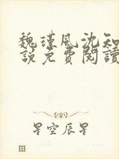 魏瑾风沈知玉小说免费阅读最新章节