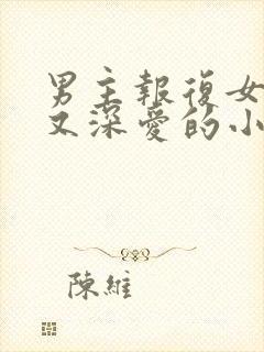 男主报复女主却又深爱的小说