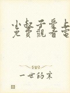 小叔子爱上嫂嫂免费观看电视剧