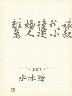 离婚后我嫁给了万人迷小叔