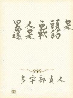 男人龟头是硬的还是软的