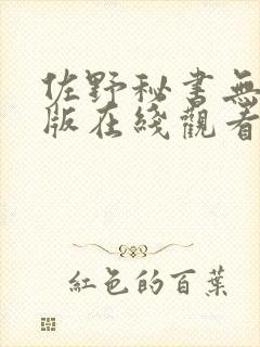 佐野秘书无删减版在线观看