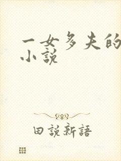 一女多夫的言情小说