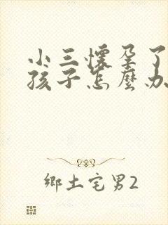 小三怀孕了要生孩子怎么办