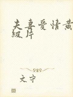 夫妻爱情黄色一级片