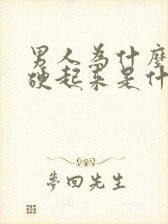 男人为什么总是硬起来是什么原因呢