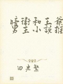 暗卫和王爷的双男主小说推荐