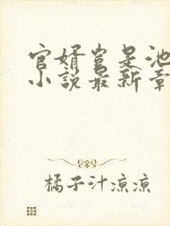 官婿岂是池中物小说最新章节