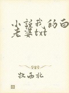 小说我的白富美老婆txt