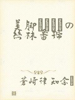 美脚パンストの丝袜番号