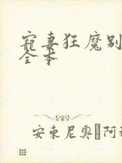 宠妻狂魔别太坏全本