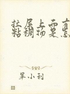 拉屎上面有白色粘稠物是怎么回事