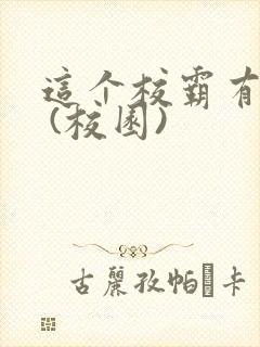 这个校霸有点甜 (校园)