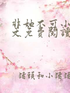 非她不可小说全文免费阅读无弹窗