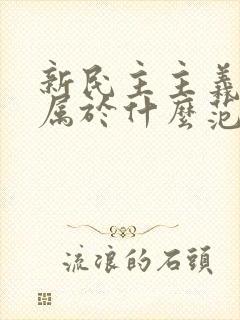 新民主主义革命属于什么范畴