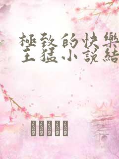 极致的快乐颜盈王猛小说结局