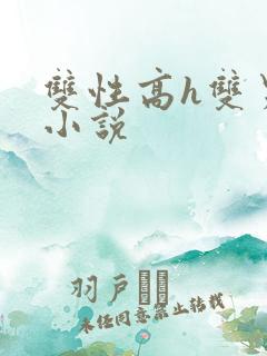 双性高h双男主小说