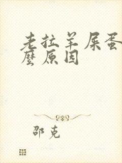 老拉羊屎蛋是什么原因