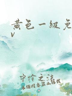 黄色一级免费av