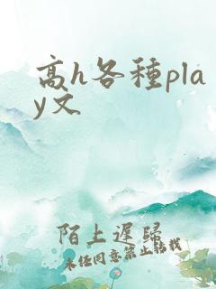 高h各种play文