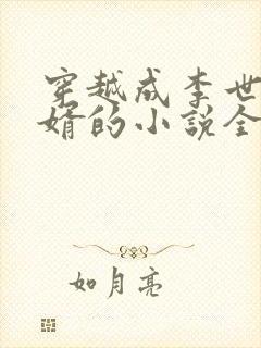 穿越成李世民女婿的小说全本