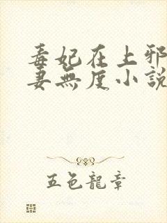 毒妃在上邪王宠妻无度小说