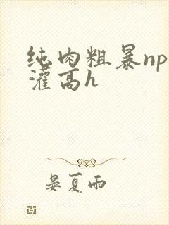 纯肉粗暴np精灌高h