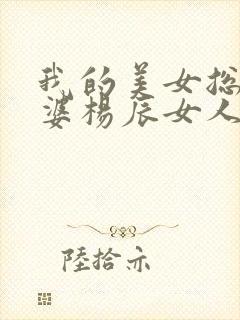 我的美女总裁老婆杨辰女人